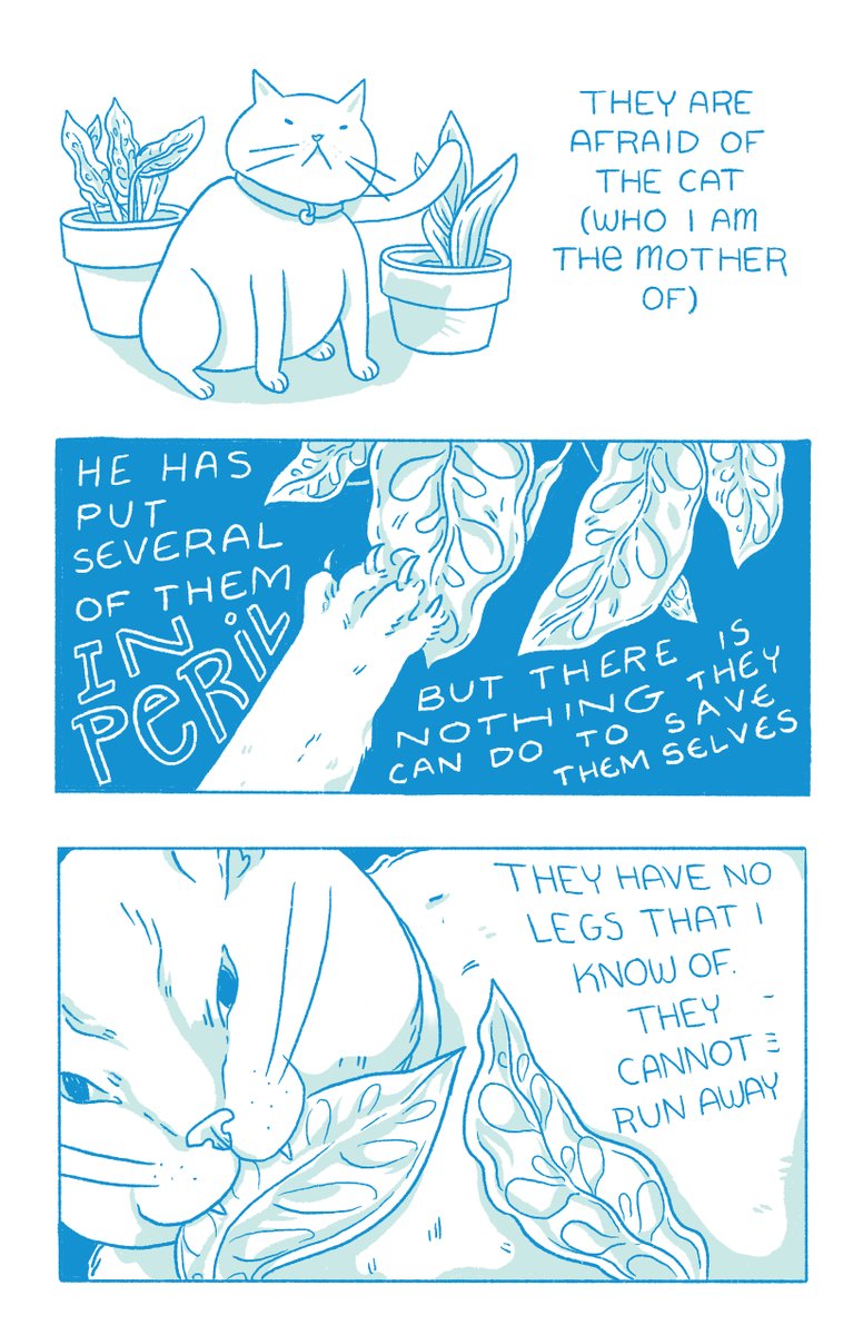 (3/4) 