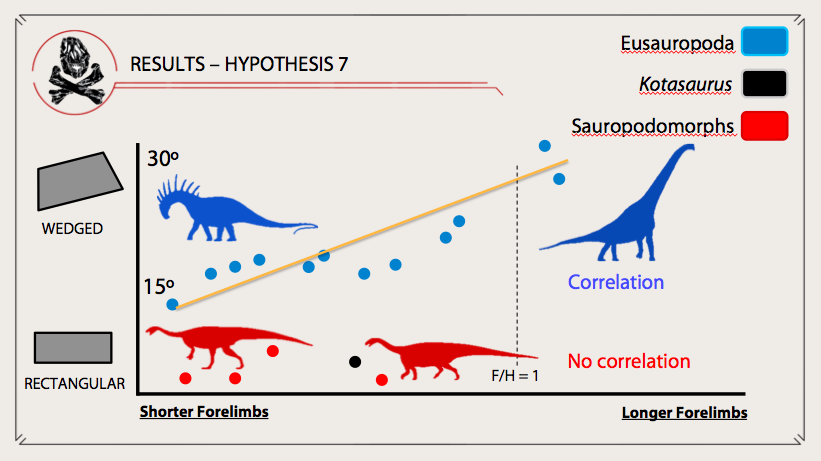 But all eusauropods surveyed have wedged sacra. And, more surprisingly, the amount of sacral wedging appears to correlate with the relative length of the forelimb! The longer the humerus relative to the femur, the more sacral wedging, unlike in non eusauropod sauropodomorphs 16/n