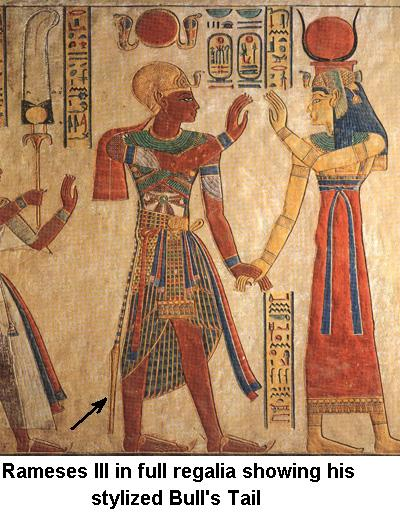 The symbolism of tails, especially bull's and cow's tails was kept in later tradition of Heb Sed festival in ancient Egypt which was, in short, celebrated to renew the power of a pharaoh. Tail and spine are the representation of life force needed for renewal and rebirth.