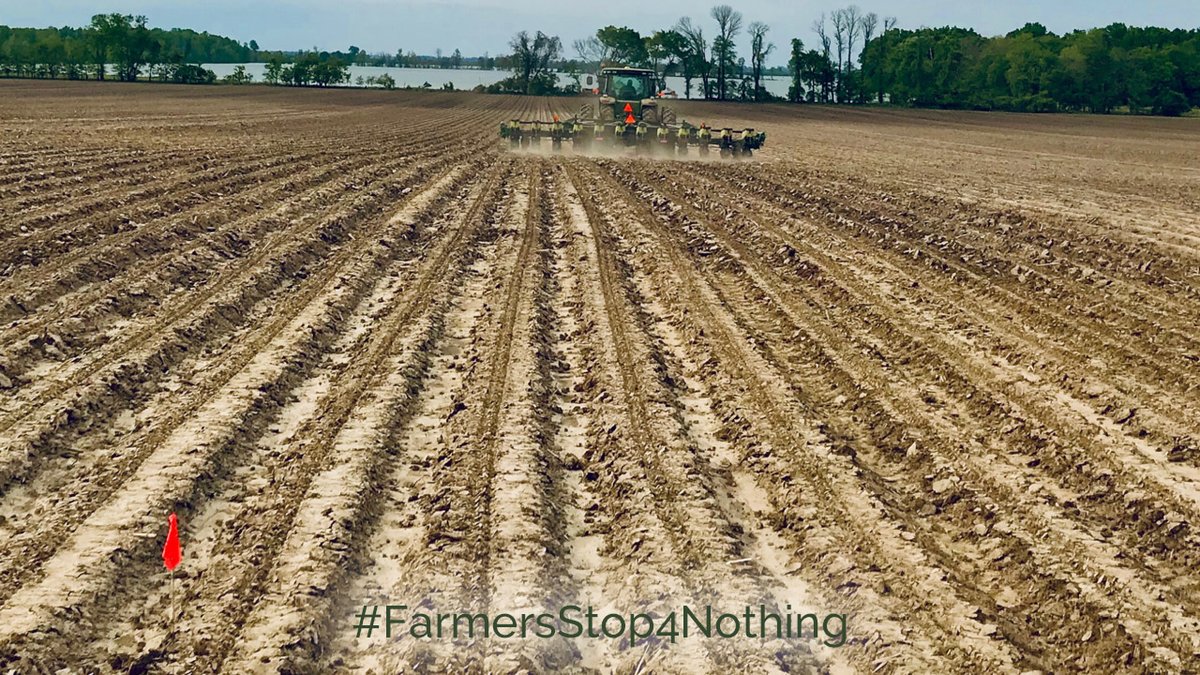 Mission Seed Solutions tweet media