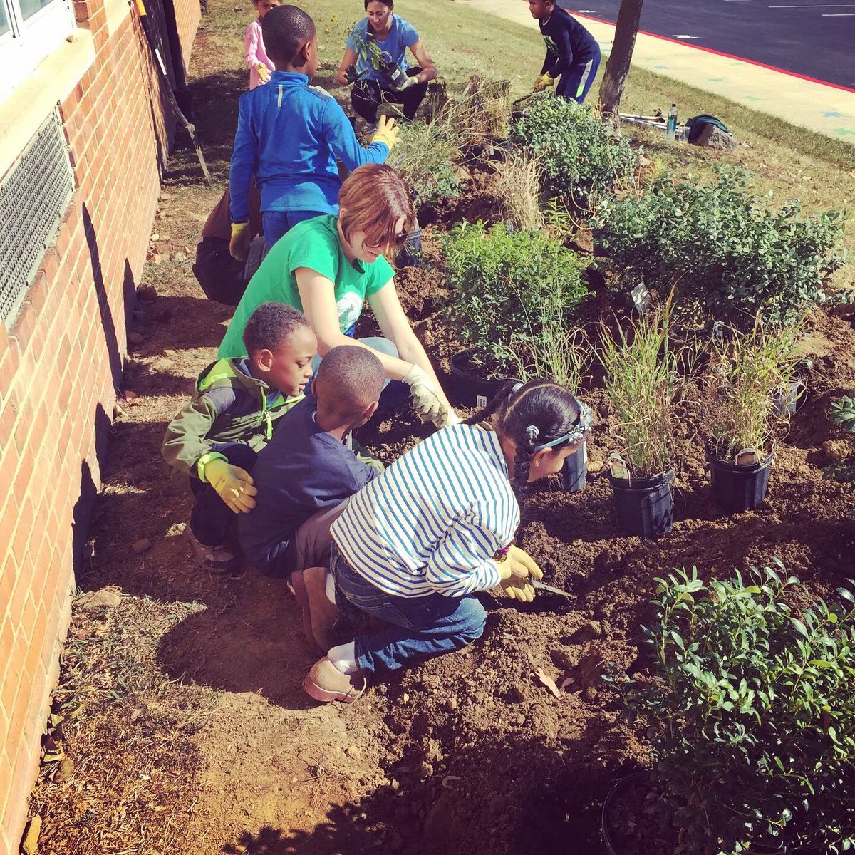 Happy Earth Week Turtles! We have a different activity for you each day. Today work on a #ActofGreen and sign up to have our friends at NWF send you seeds to plant a garden!! #WPCSEarthDay50 #EarthWeek  #FindingNature @ChildrenNature
@BCPSOutdoorSci
sites.google.com/watershedpcs.o…