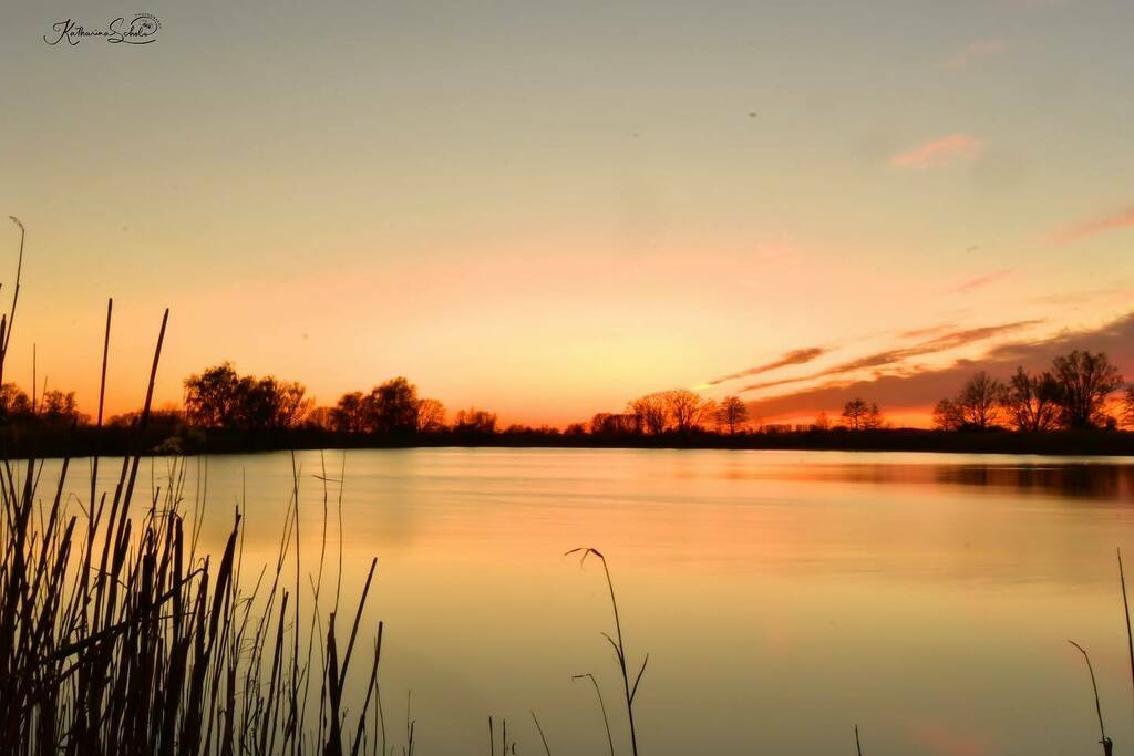 KSPhotos's tweet photo. Wonderful evening in Linum...#sonnenuntergang #sunsets #sunsetviews #witharsenal #linum #rhinluch #ostprignitzruppin #germany #nabu #landscapes #landscapephotography #landschaft #fotografierenmitleidenschaft #brandenburgistschön #visitbrandenburg #ig_bra… https://t.co/9QIx1ccYXE https://t.co/WXfHke3DOB