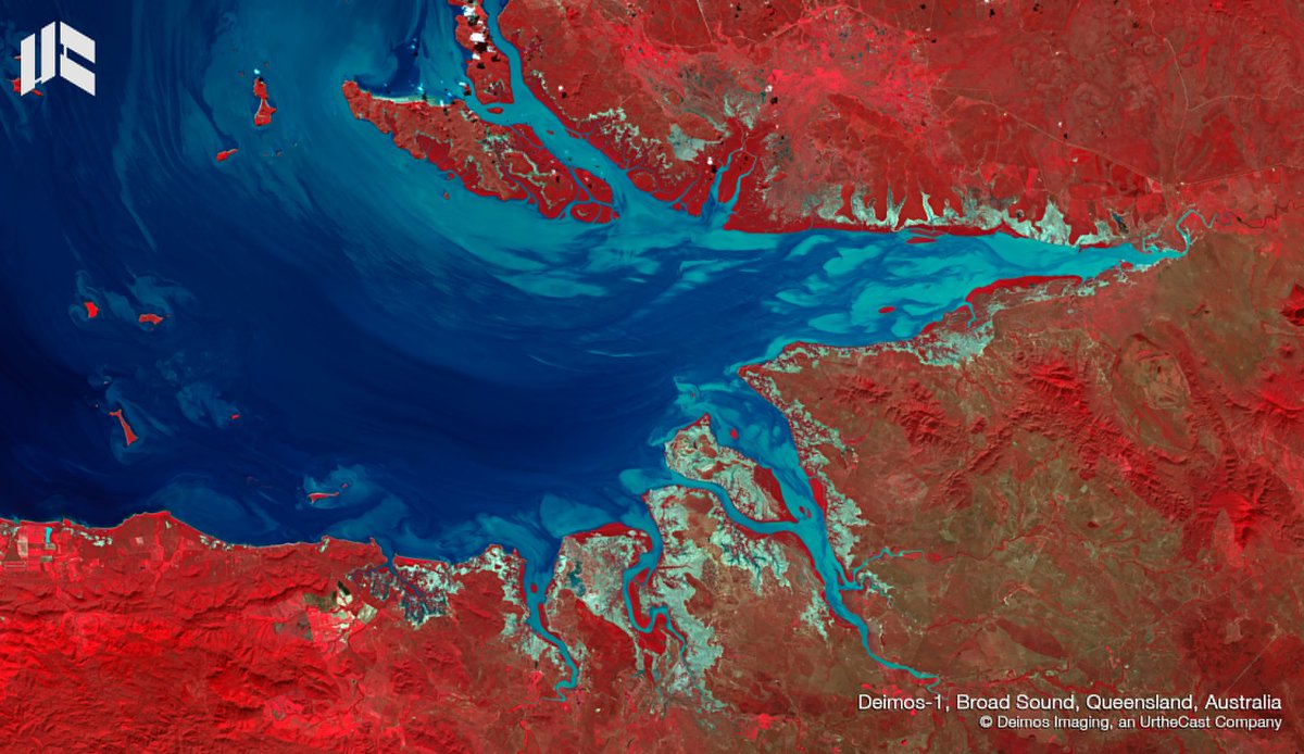 deimosimaging's tweet photo. The #Broadsound is a waterway noted for its large tidal range - up to 9 meters in the summer - in the east coast of #Australia. This is how it looked like from the orbit of #DEIMOS1 #EnvironmentalMonitoring #FalseColor #EarthArt #EarthObservation #RemoteSensing #SatelliteImagery https://t.co/ZAHoxszf0e