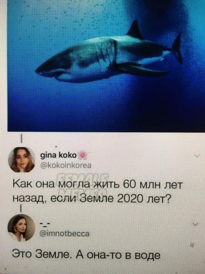 O_Kras's tweet image. Обе правы!