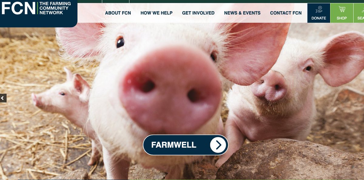 AlphaGenes tweet media