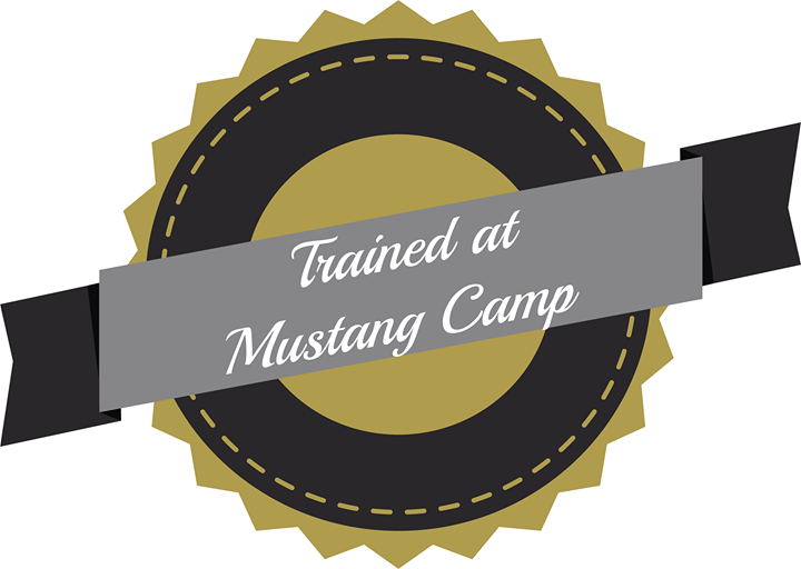 MustangCamp1's tweet photo. I am thinking about hiring an assistant to do research and help me produce training content. The opportunity comes with room and board, but it requires a two week quarantine living separately from our household. Is anyone really wishing they had an anima… https://t.co/90JNJAqJyF https://t.co/YjNsqz5c70