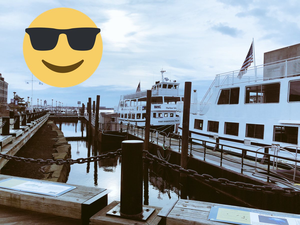 Boston Harbor Today tweet media