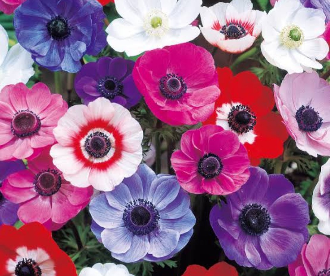 あなたを信じて待つ