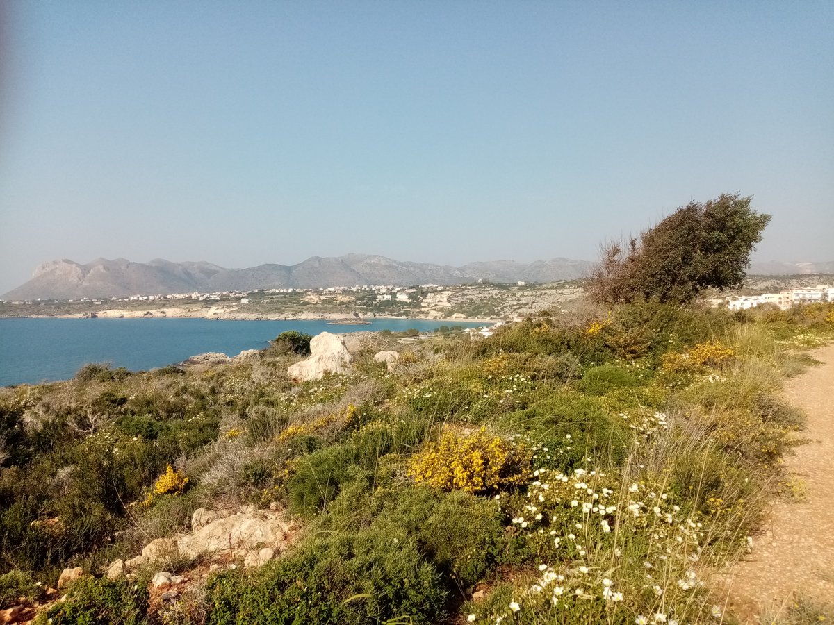 PureCreteAptera's tweet image. Lockdown walk #Crete