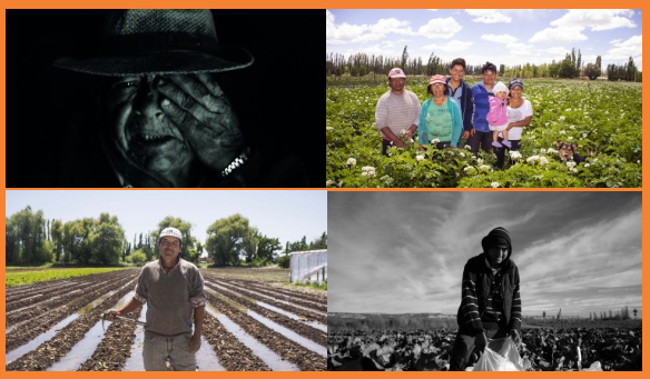 trayectosmigra1's tweet photo. En el siguiente hilo están los link a los cuatro adelantos del proyecto #TrayectosMigrantes: la historia del poblamiento de familias de origen boliviano que actualmente llevan adelante la producción de verduras en Chubut (Patagonia Argentina). En El Extremo Sur. https://t.co/irmIQyLc9F