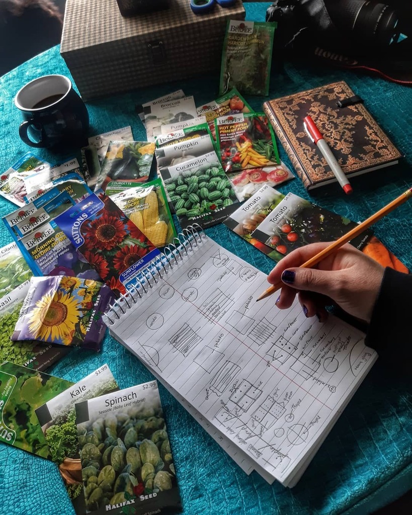 tiffanynaugler's tweet photo. Let the plotting begin!!
🌿☕🌿
.
.
.
.
.
.
.
.
.
.
#thiswitchygarden #gardening #garden #backyardgarden #seeds #plot #plotting #gettingready #spring #Halifaxseed #Halifax #halifaxns #eastcoast #novascotia #canada https://t.co/38B80fGG3Y https://t.co/qeiTraOyIR