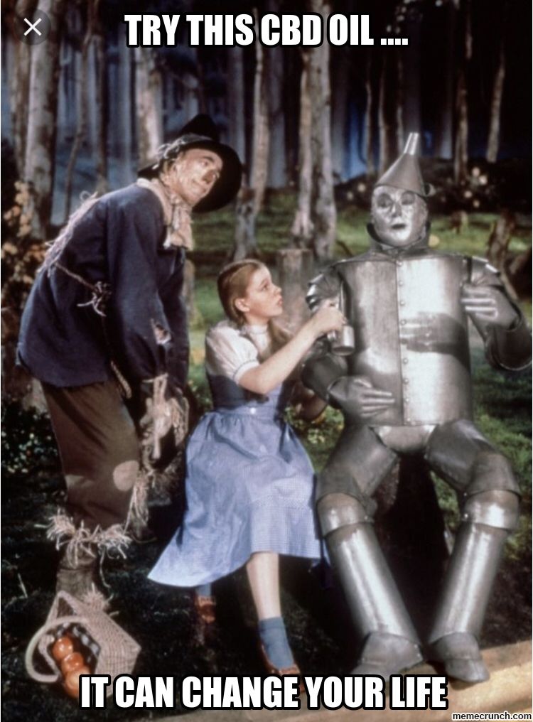 ShopTLCBD's tweet photo. We love #mememondays - especially when it comes to #cbd - there are so many great ones out there. Ya, we're #meme lovers too! #cbd #memes #cbdmemes #funny #humorismedicine #cbdlife #wizardofoz #wizardofozmeme #dorothymeme https://t.co/Qb6A2GFwzy