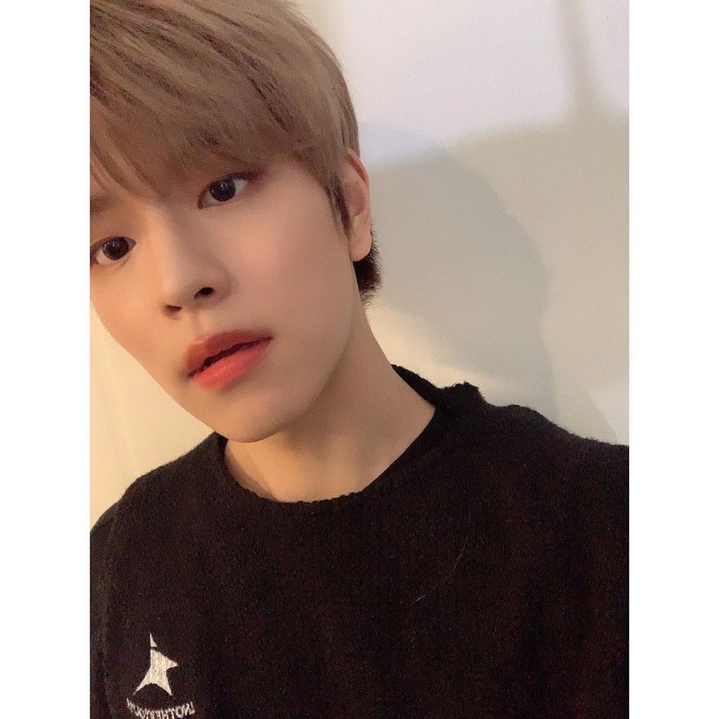 StrayKidsFrance tweet picture