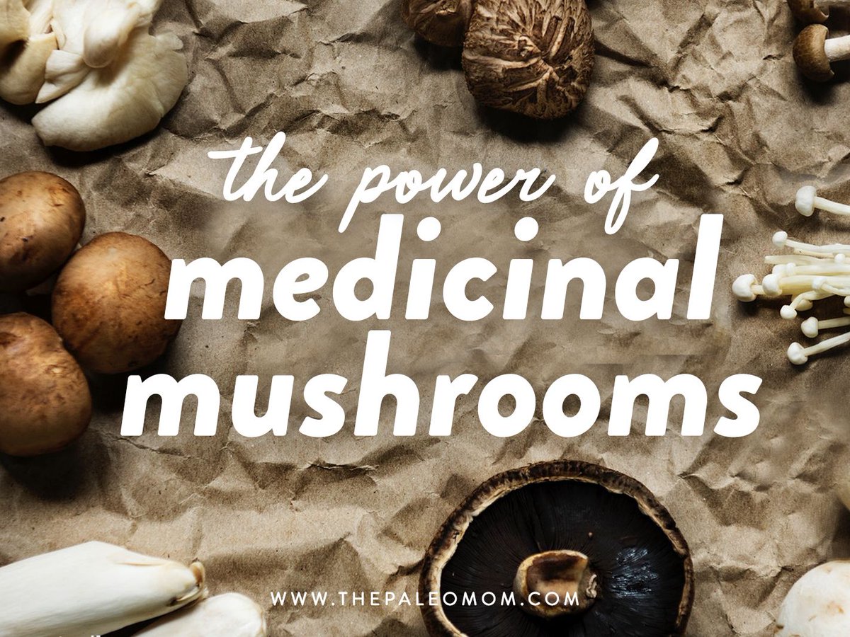 The Power of Medicinal Mushrooms thepaleomom.com/the-power-of-m… #medicinalmushrooms #mushrooms #immunesupport #guthealth #thepaleomom