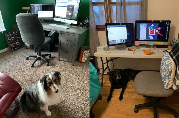 intltrends's tweet photo. Are you being stared at constantly by your coworkers?
Show us your home workspace!
#Trendspace #QuarantineLife https://t.co/ajVdbsbQsN