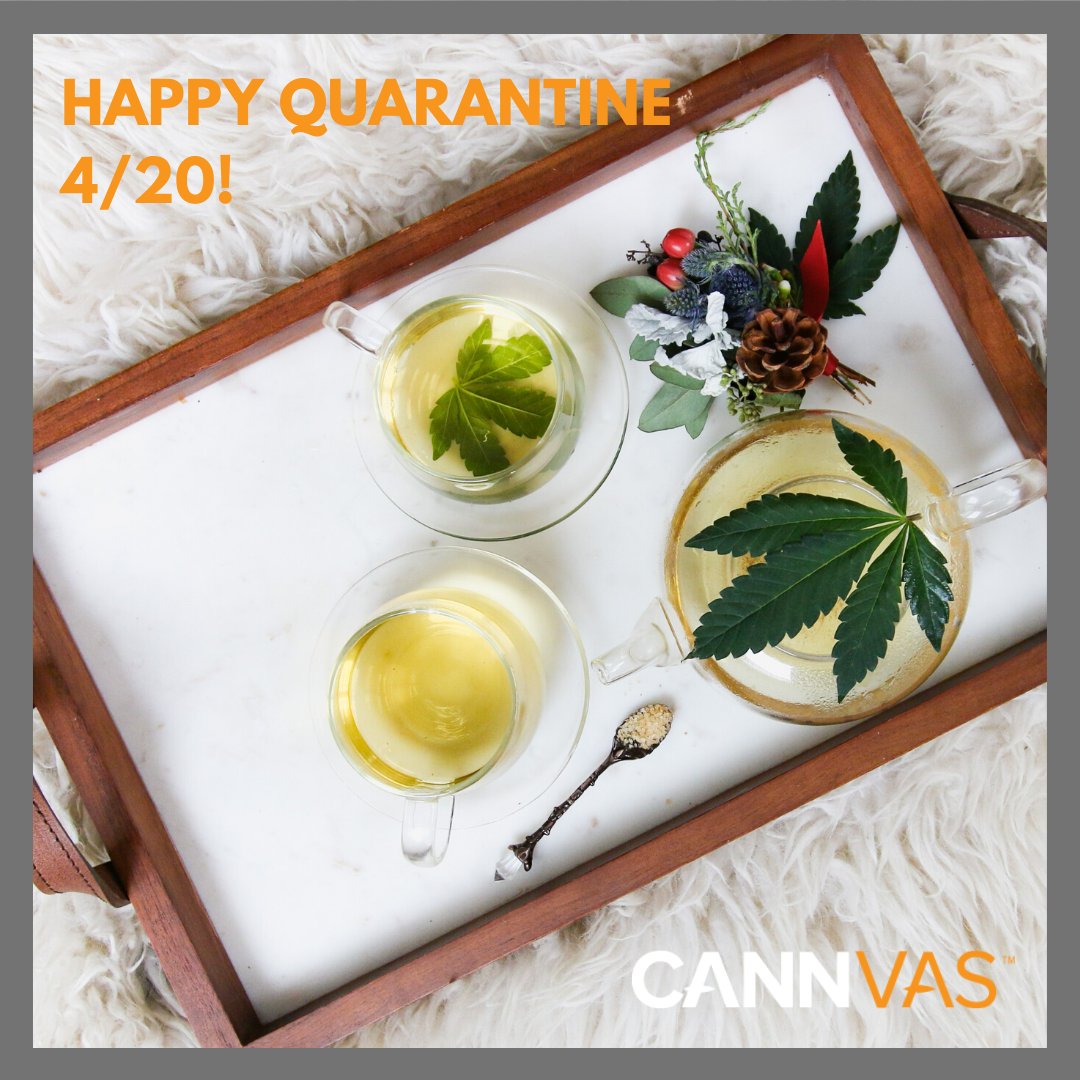 cannvasme's tweet photo. Happy #420day! This year's quarantine 4/20 presents a unique opportunity to learn how to grow at home.

Check out https://t.co/vFbUFU1XX8's Grow section to learn best practices for cultivating cannabis for personal use: https://t.co/bB9pU2qFZN

#GetCannabisEducated 🌱
#homegrow https://t.co/8zjAxLrpDe
