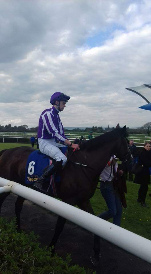 JoeSeward1's tweet photo. ON THIS DAY 2017 @tipperaryraces we saw 2 really good @Ballydoyle winners #Alluringly won the opener before going to @ChesterRaces 2nd to the mighty #Enable
#VeniceBeach @donnacha_obrien (pictured) won the 2nd race & next time won the Chester Vase
#HorseRacing
#tipperary https://t.co/ajb3yINI3N