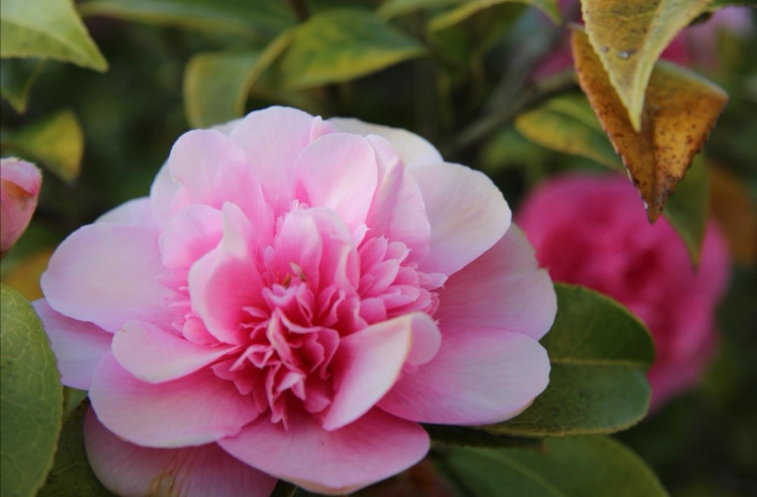 Full Circle IT Solutions tweet media