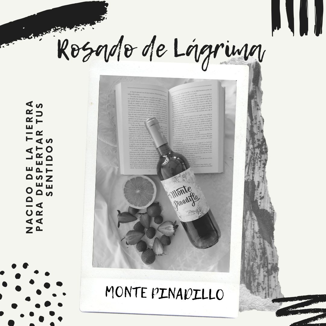 Bodega San Roque de la Encina tweet media