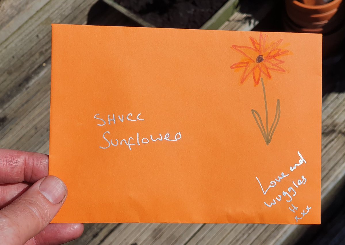 What is your choir doing to remain a functioning community at this time? We're having a sunflower-growing competition! 😃🌻🌻🌻🌻 
#choralhour #garden