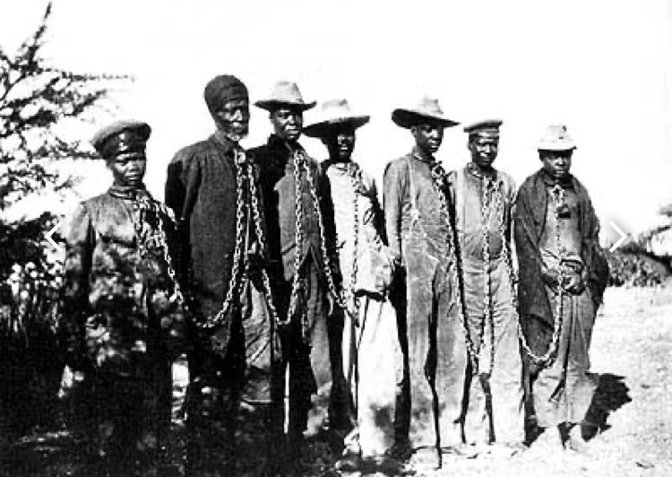8/ Remember prior to Hitler, colonial Germans committed the first genocide of the 20th century in Namibia from 1904-1908, killing over 100 000 Namibians, cut off their heads, boiled them and send off the skulls to Germany.The rest were put in concentration camps  @xandatoto