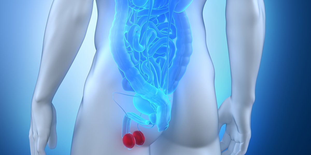 Prostatakrebs stufe 4 Prostatakrebs stufe 4
