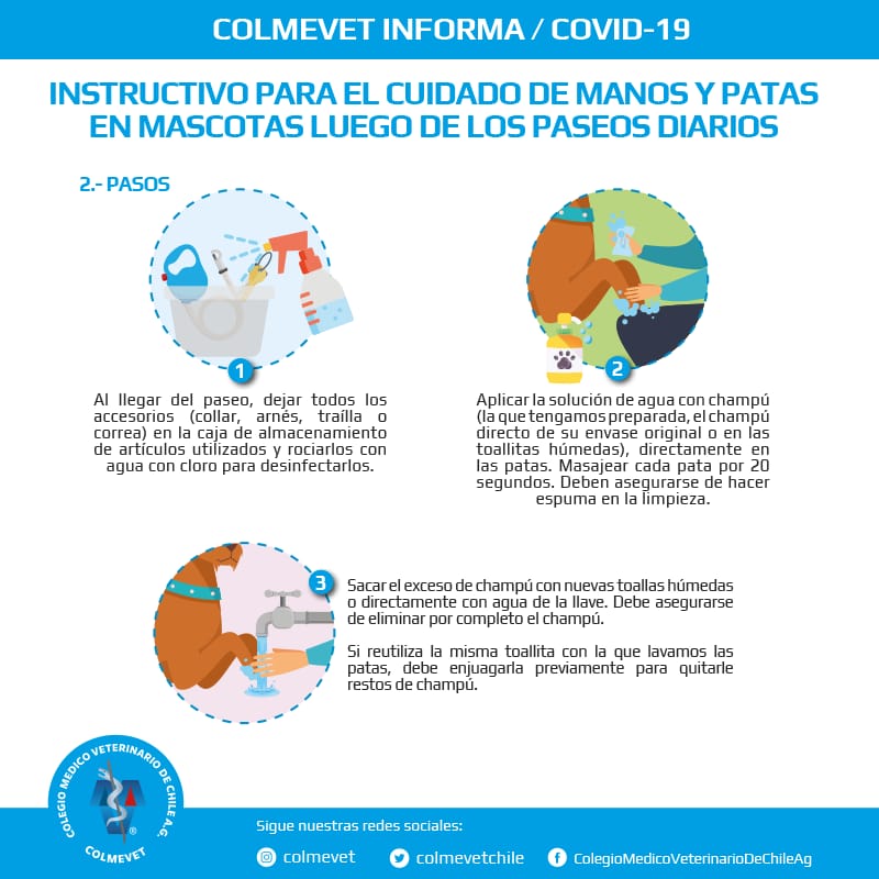 colmevetchile's tweet photo. Presentamos "Instructivo para el cuidado de manos y patas en mascotas luego de paseos diarios", dirigido a propietarios y tenedores de mascotas en general.
@ElMegato @quiltrosmagazin @T13 https://t.co/21fs1SJVIQ @Cooperativa @biobio @latercera @Emol https://t.co/dWy036FUsZ