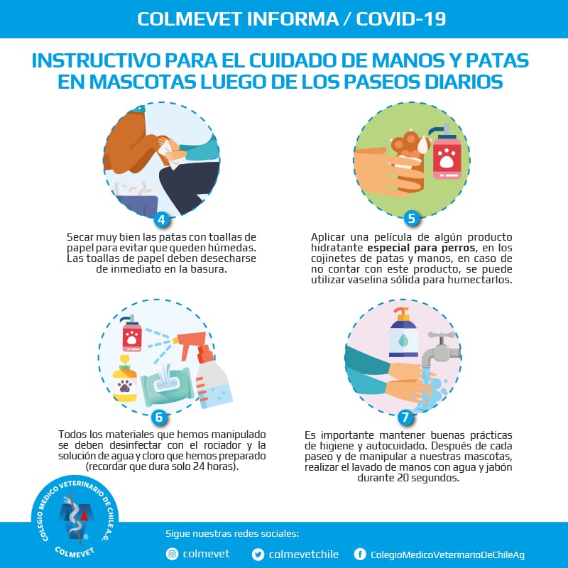 colmevetchile's tweet photo. Presentamos "Instructivo para el cuidado de manos y patas en mascotas luego de paseos diarios", dirigido a propietarios y tenedores de mascotas en general.
@ElMegato @quiltrosmagazin @T13 https://t.co/21fs1SJVIQ @Cooperativa @biobio @latercera @Emol https://t.co/dWy036FUsZ