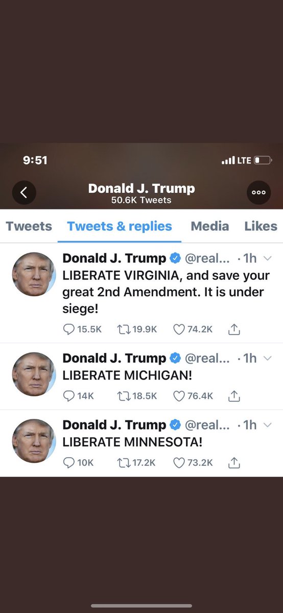 34.) Screaming “LIBERATE VIRGINIA! MICHIGAN! AND MINNESOTA!” via tweet; encouraging civilian insurrection by Americans against their governors stay-at-home orders. This was not only an illegal incitement of violence, it jeopardized the lives of those who listened to it.