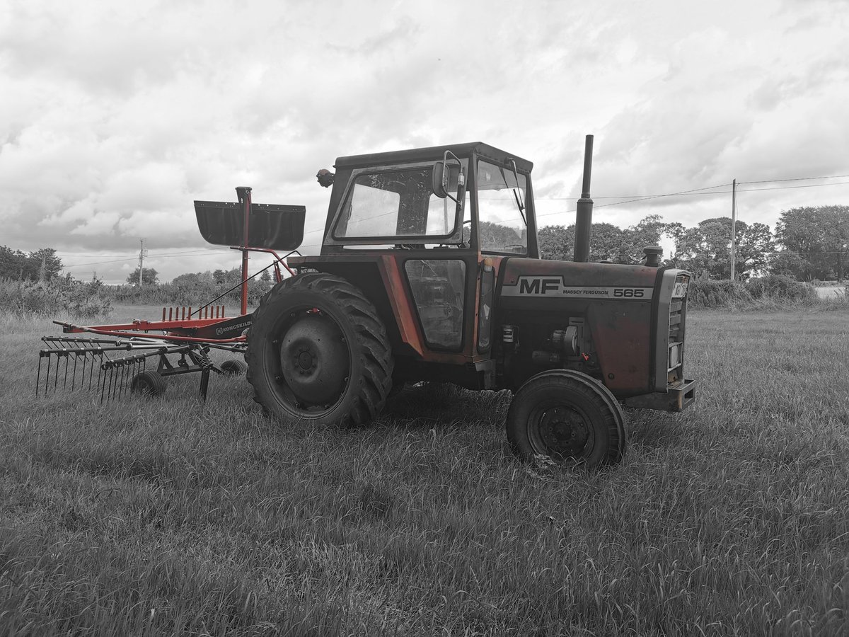 Day 5/7 of my life in pictures. Rules: no words, no people. Nominate someone new everyday. Today I nominate <a href="/JanetForrest14/">Janet Forrest</a>