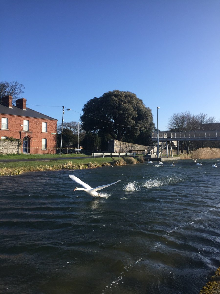 Swanair cleared for take-off by Amanda M