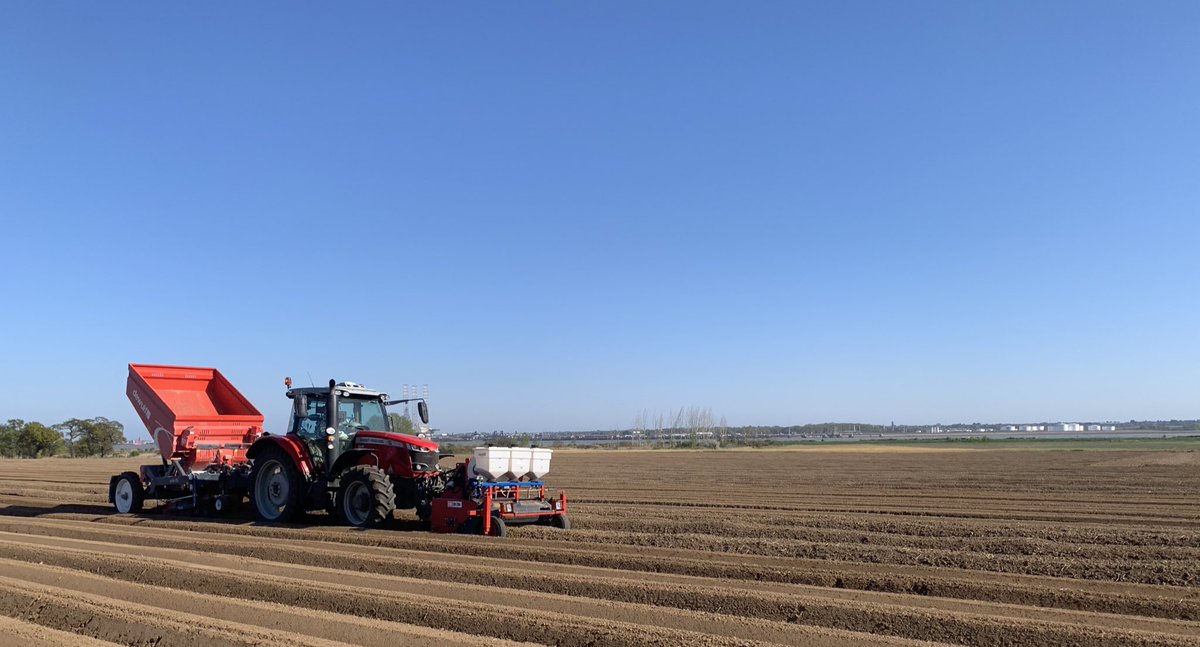 William Wrinch Farms tweet media