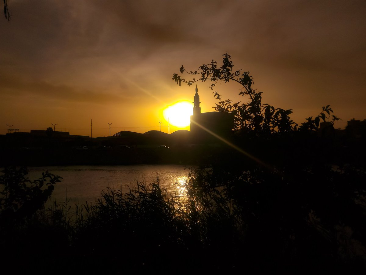 mormansek's tweet photo. #sun #sunset #sunset_pics #reflection #reflection_shotz #tree #nature #naturelover #naturephotography #streetphotography #mobilephotography #phoneography #phonephotography #Photography #Photographer #sky #skylover #landscape #landscape_captures #Cairo #Egypt #sherbini https://t.co/F78PLyCV7P