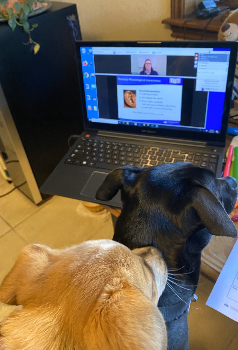 DtMcMillan2017's tweet photo. My side kicks for my #LETRS webinar today! Great info presented! @VoyagerSopris @belltylerisd @tylerisdlearn @tylerisd @tisdPK5literacy @holterj13 @kellykelly35 @johnsont2816 #keeplearning #WorkFromHome #bellbears https://t.co/bMJZ4c4pHv