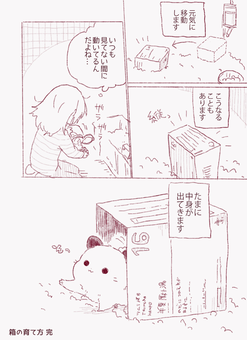 箱の育て方 
