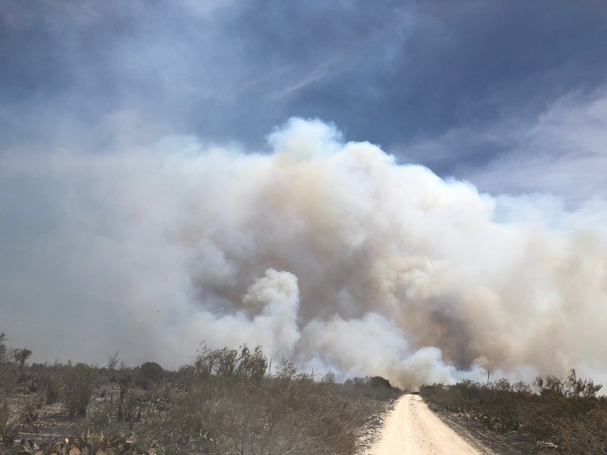 Incident Information - Texas A&M Forest Service (@allhazardstfs) on Twitter photo Update: #HolcombeRoadFire in Crockett County is now 5% contained at an estimated 5,000 acres. #txfire Update: #HolcombeRoadFire in Crockett County is now 5% contained at an estimated 5,000 acres. #txfire