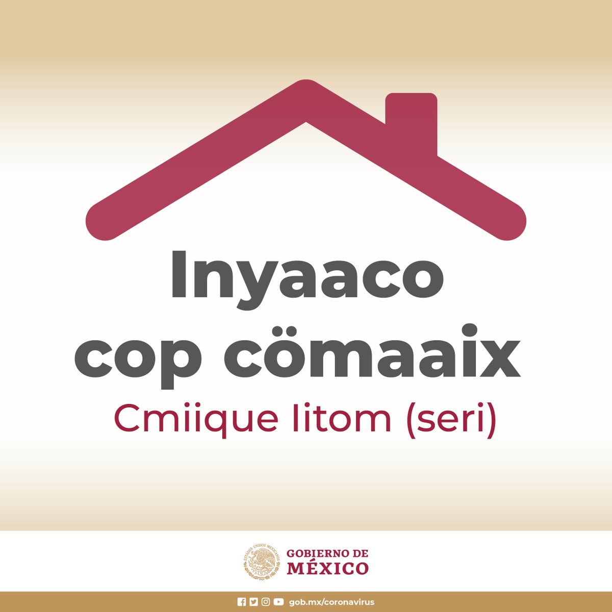 cultura_mx's tweet photo. La información verídica es el escudo más eficiente contra la pandemia. 🛡️🦠

#QuédateEnCasa y difunde información del @INALIMEXICO sobre COVID-19 en lenguas indígenas de México. #JuntosSaldremosAdelante 

👉 https://t.co/sk2E5Rsd7i https://t.co/9GkFGTvZ9B