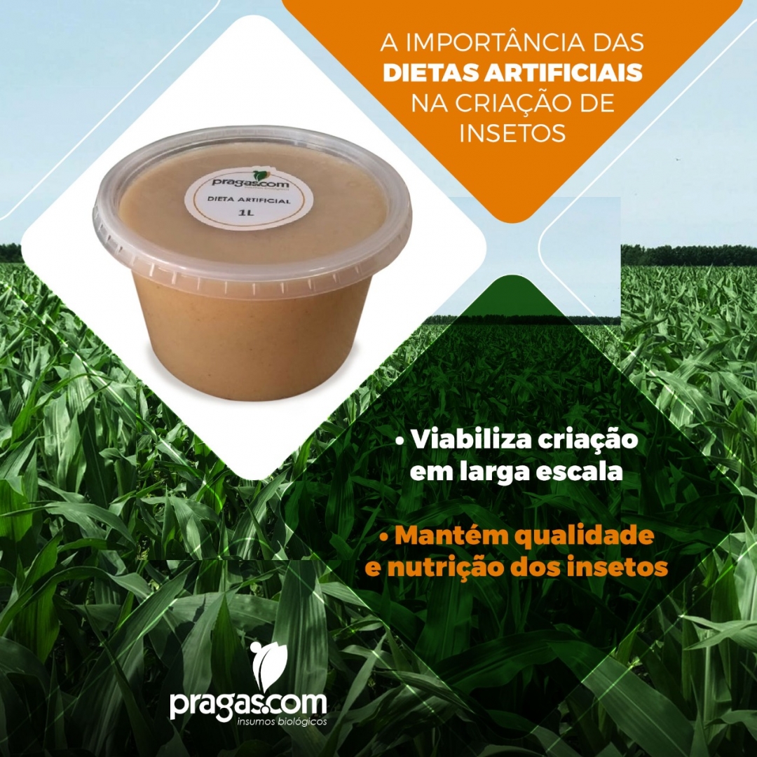 As dietas artificiais são importantes para a viabilização de criação de insetos em larga escala, além de permitir que possam ser feitas pesquisas em quaisquer épocas do ano.

#agro #dietasartificiais #agronegocio #agricultura #oagronaopara #controlebiologico
