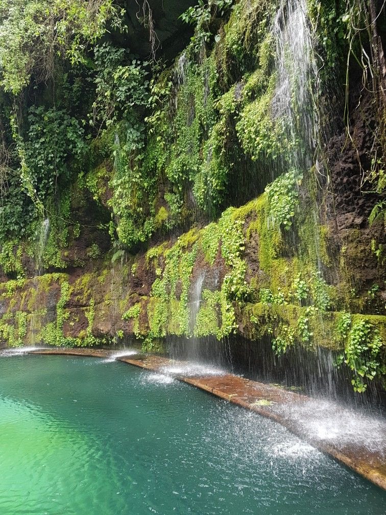 sofiee_lp's tweet image. I can’t wait for the time I will be able to go to El Salvador and experience this in person 🥺🇸🇻🤞🏻