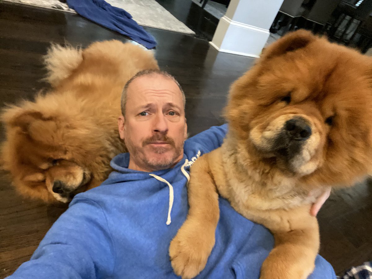 mrronclark_'s tweet photo. So at this point, I don’t think my dogs would let me go back to work, even if I could. https://t.co/pCe4zipZCu
