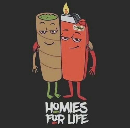 MainlandCanna's tweet photo. Happy 420 everyone! Stay safe! #420day #CannabisCommunity https://t.co/axsyJ0m3RG