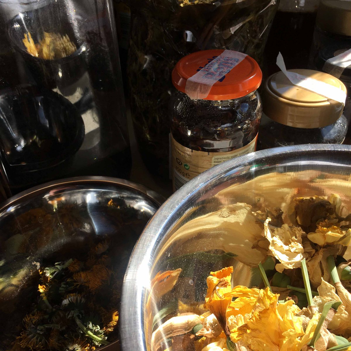 threadsofstill's tweet photo. The worktop in my studio waiting for when I can do some plant dying again - jars of leaves and twigs soaking in water, daffodil and dandelion flowers recently collected #StudioTuesday #PlantDyes https://t.co/Inkk9JnAT9