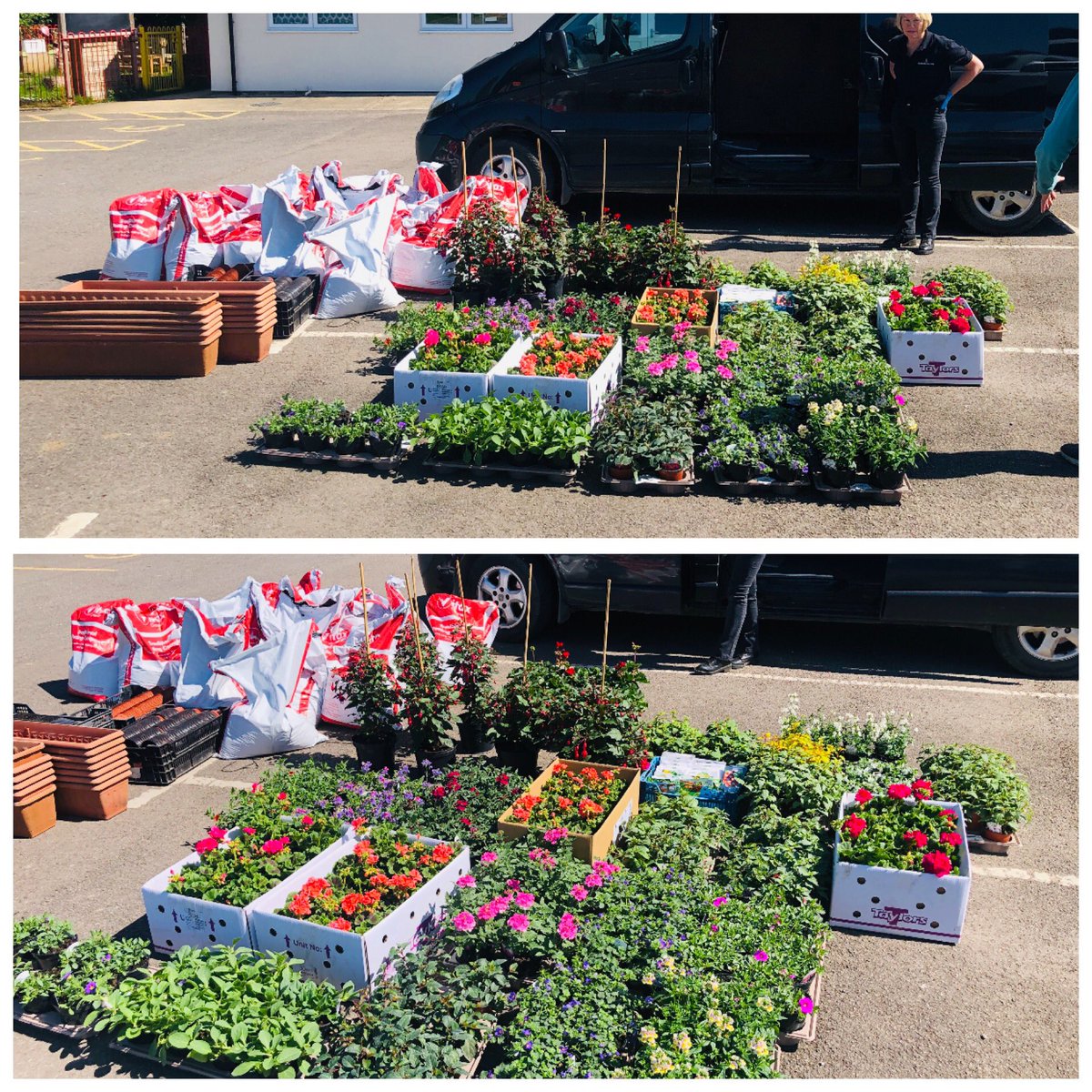 Look what <a href="/Blenheim_org/">Blenheim</a> donated to Hanborough and Freeland Covid 19 mutual aid! An amazing start in our aim to get both villages growing, for our mental health, and to remind us all we aren’t alone