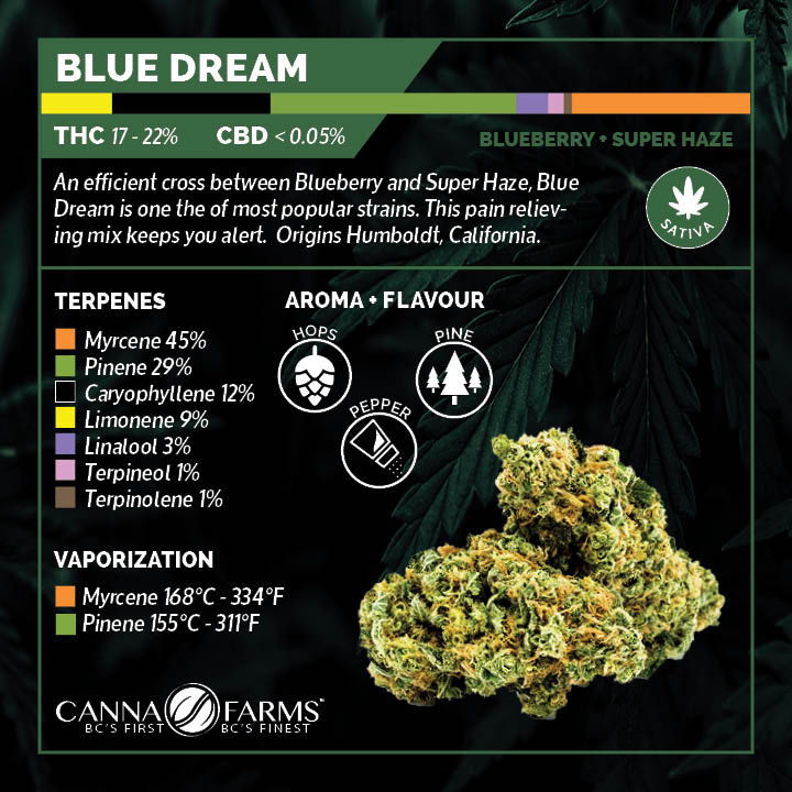 I have a medical license so I can order from medical producers that use colour coded labels to show the terpene breakdowns of different strains and these are more helpful ime for exploring which strains I like best! (Blue Dream is actually my current fav)