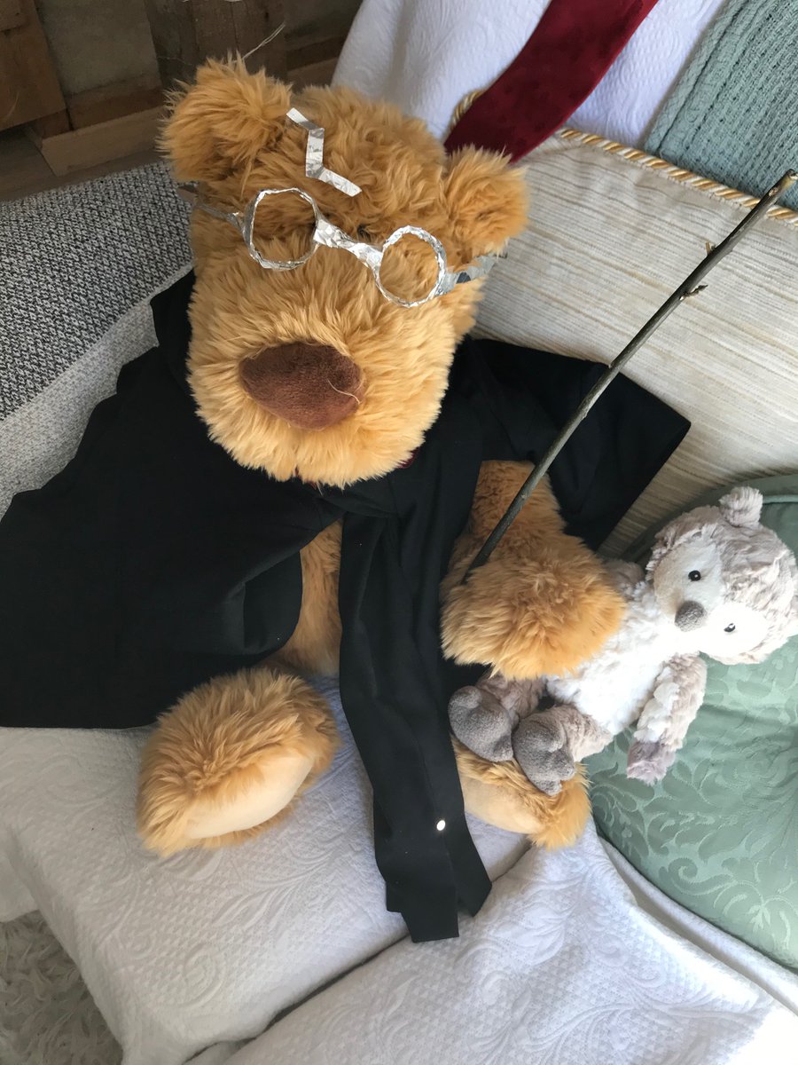 AngelaHardie_AH's tweet photo. #TodaysTeddy #HarryPotter 
Today’s Ted in the window is one and only Harry Potter!  Bit of fun for kids as they walk past our window.  #StayAtHomeSaveLives 
#JKRowling https://t.co/cIRcYIv3O0