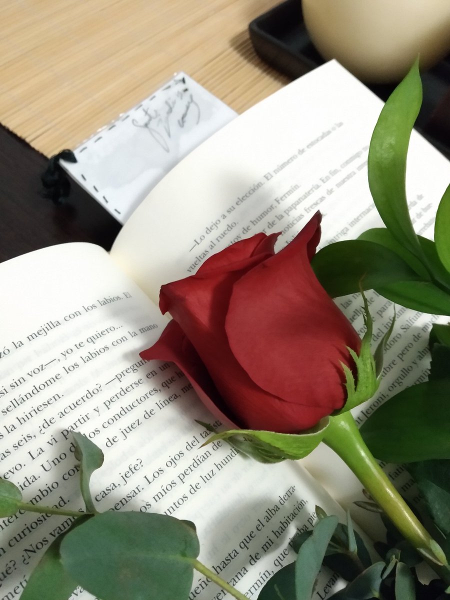 verosanchez1987's tweet photo. Estimo els llibres! ♥️  #postalssantjordi2020XBC
@bibscornella  #SantJordiaCornellà https://t.co/tc6gP6Hxr9