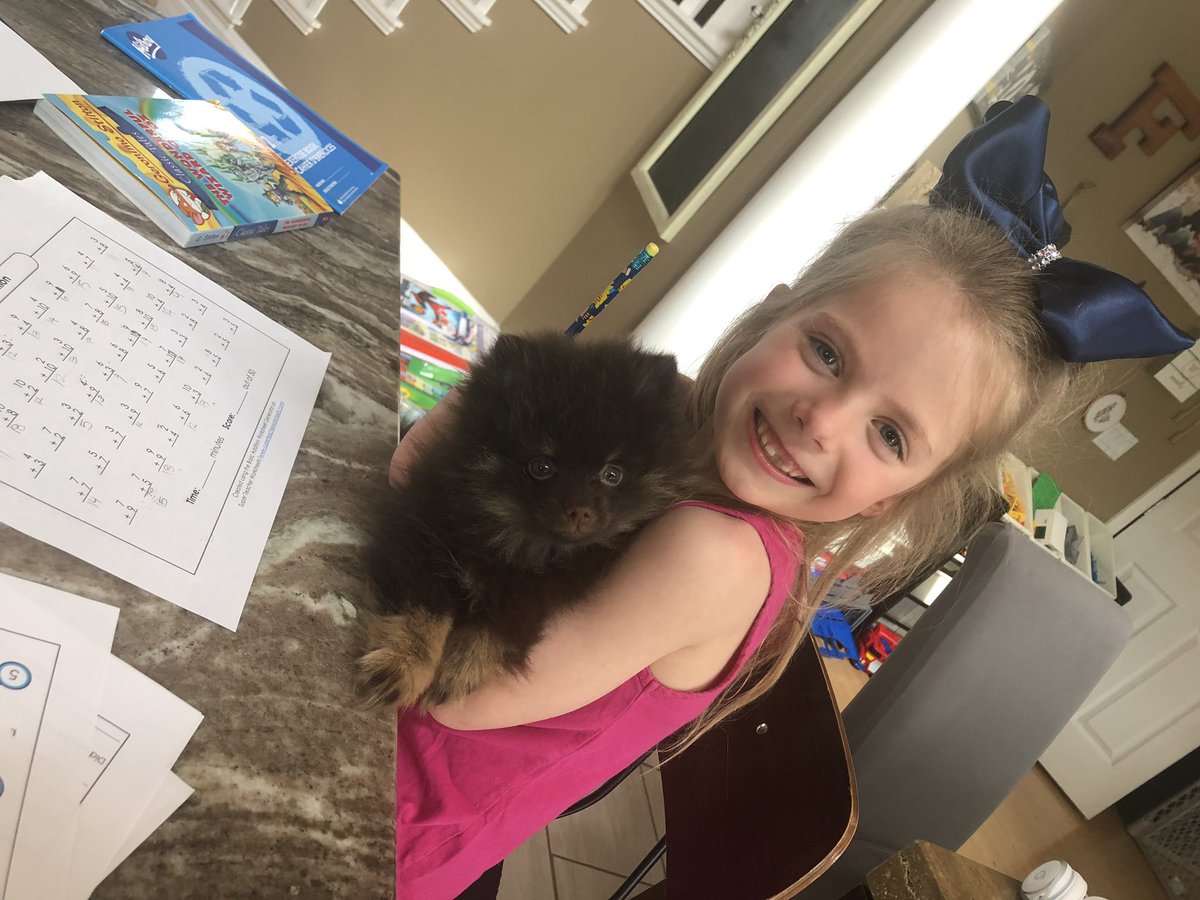 AngelaDingwell's tweet image. Learning with our pet at home today @McNeillyfmpsd @FMPSD! Soon enough we will be able to say, “The dog ate my homework!” 🙄 #ABLearningAtHome #FMPSDLearningAtHome
