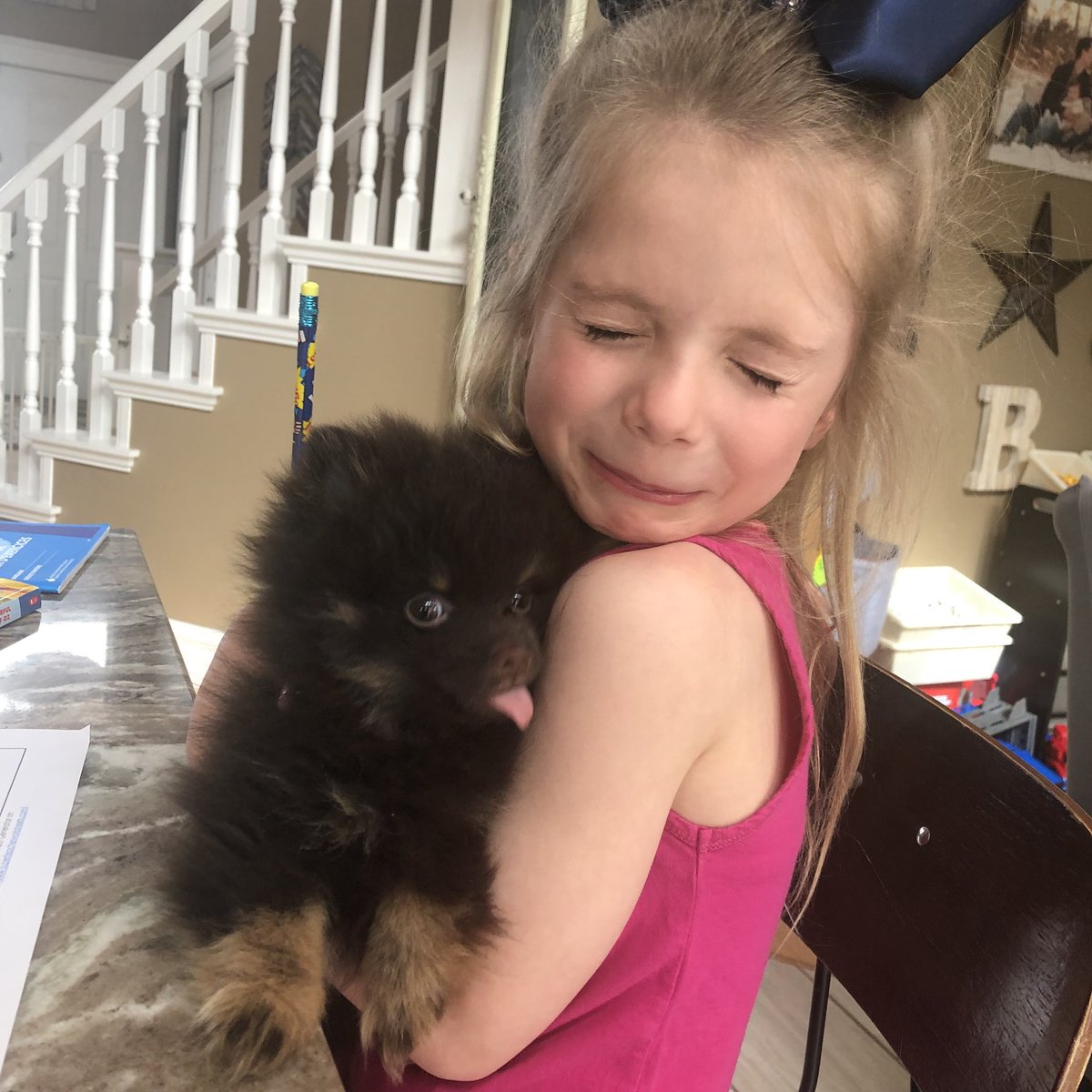 AngelaDingwell's tweet image. Learning with our pet at home today @McNeillyfmpsd @FMPSD! Soon enough we will be able to say, “The dog ate my homework!” 🙄 #ABLearningAtHome #FMPSDLearningAtHome