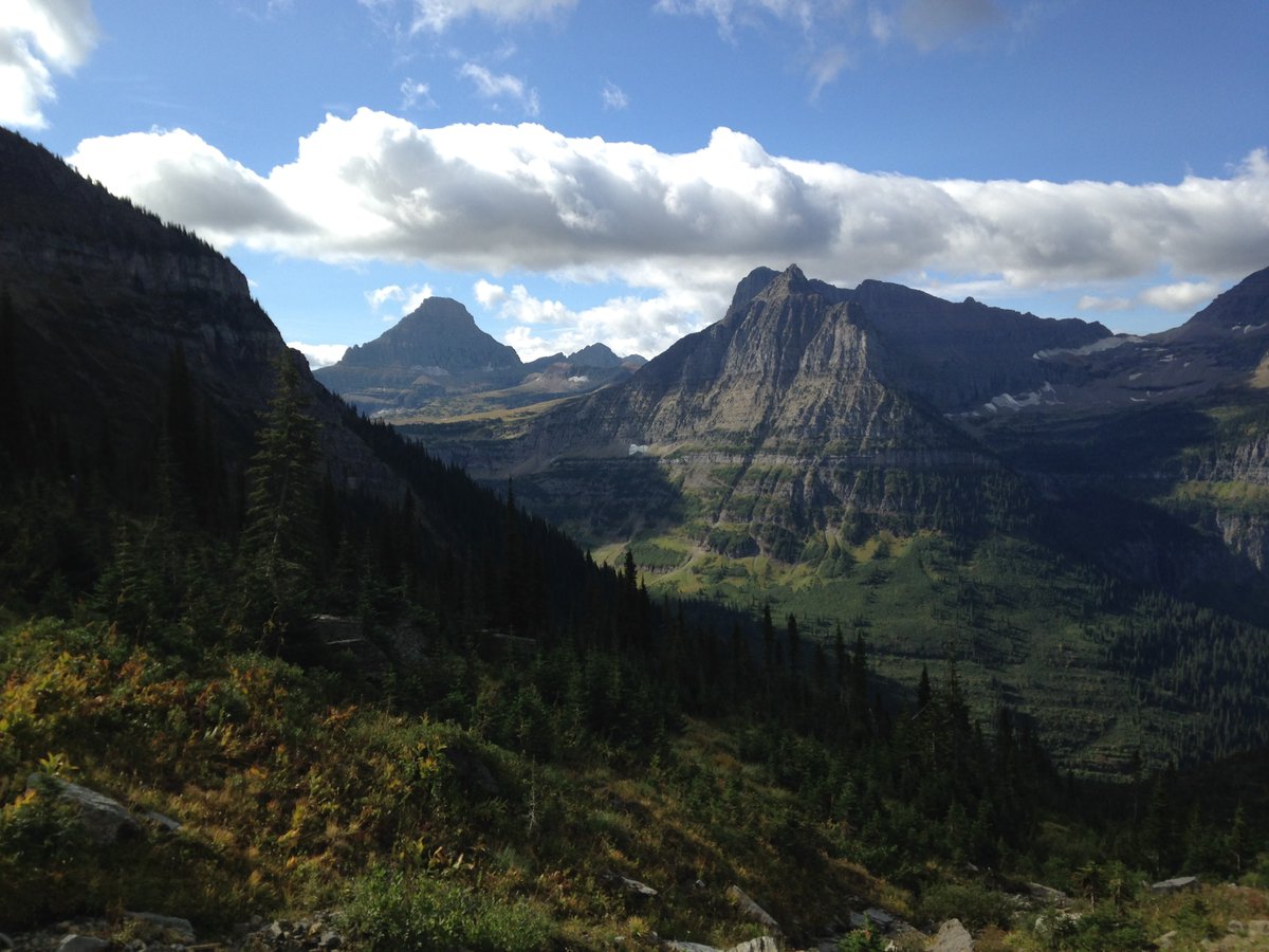 LandSourcePro's tweet image. Check out our new website! New properties coming soon! 

landsourcepro.com