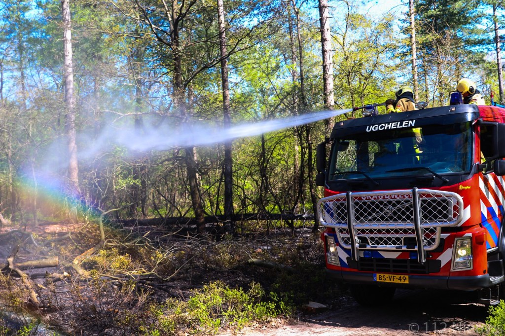Er word rekening gehouden met brandstichting na al de 11e bosbrand...